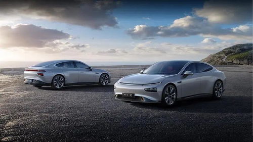 特斯拉再度降價(jià)掀起行業(yè)風(fēng)暴 小鵬汽車陷入生死局，傳統(tǒng)代理模式面臨重構(gòu)